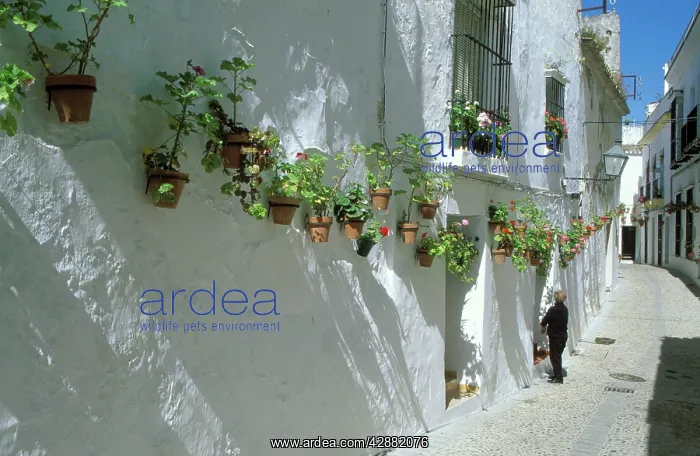 : Spain - Many of the brilliant-white alleyways of : Spain - Many of the brilliant-white alleyways of