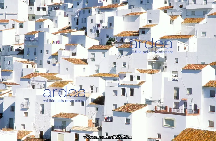 : SPAIN - The brilliant White Town' of Casares : SPAIN - The brilliant White Town' of Casares