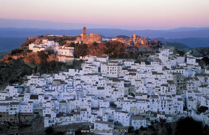  : Spain - The brilliant 'White Town' of Casares