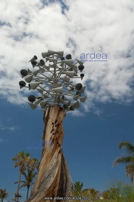 : Spain, Canary Islands, Tenerife. City of : Spain, Canary Islands, Tenerife. City of