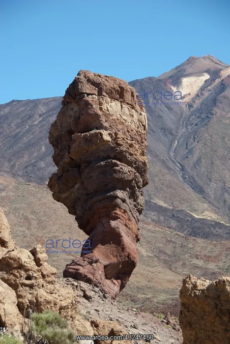 : Spain, Canary Islands, Tenerife. Las Canadas : Spain, Canary Islands, Tenerife. Las Canadas