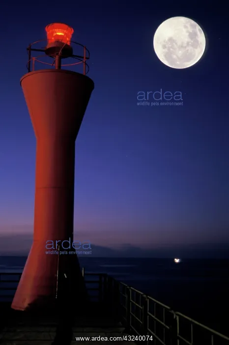 : Spain, Canary Islands, Teneriffe, Santa : Spain, Canary Islands, Teneriffe, Santa