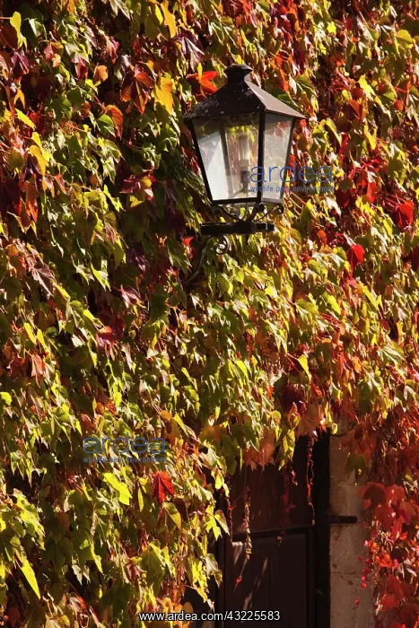 : Spain, Cantabria Region, Cantabria Province : Spain, Cantabria Region, Cantabria Province