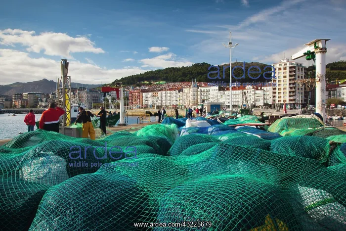 : Spain, Cantabria Region, Cantabria Province : Spain, Cantabria Region, Cantabria Province