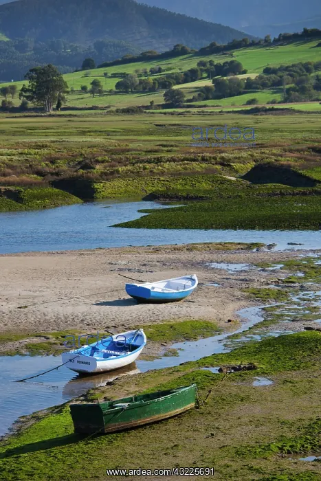 : Spain, Cantabria Region, Cantabria Province : Spain, Cantabria Region, Cantabria Province