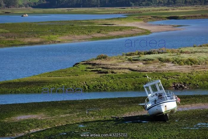 : Spain, Cantabria Region, Cantabria Province : Spain, Cantabria Region, Cantabria Province