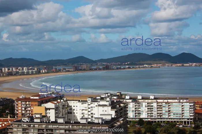 : Spain, Cantabria Region, Cantabria Province : Spain, Cantabria Region, Cantabria Province
