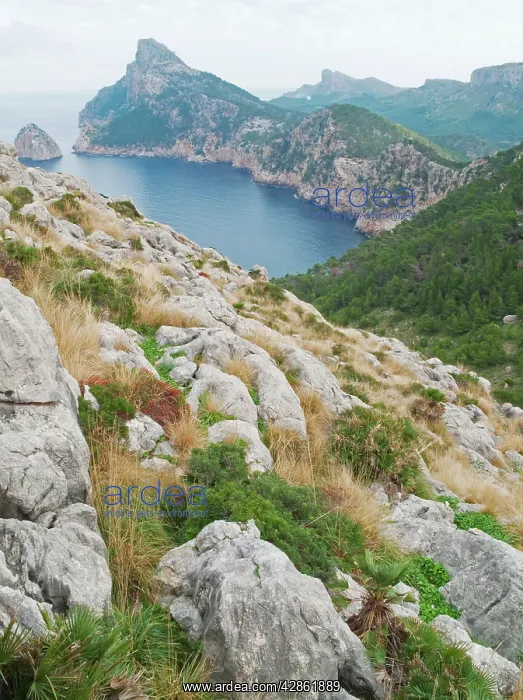 : Spain - The Cap de Formentor (in the background : Spain - The Cap de Formentor (in the background