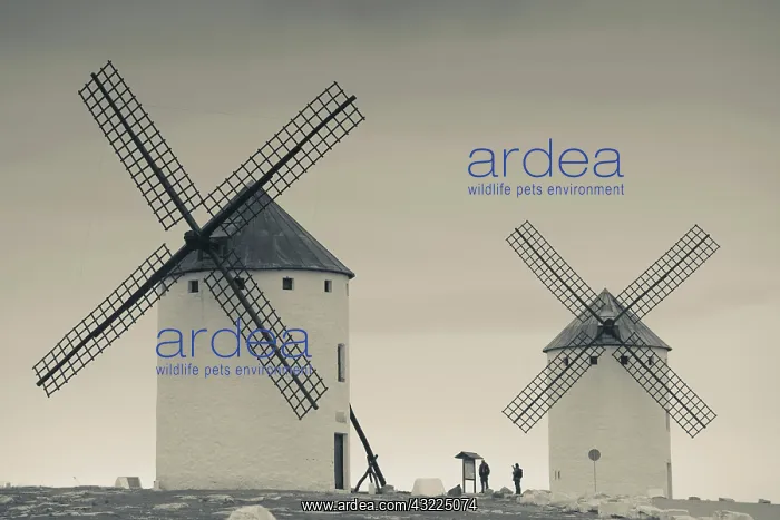  : Spain, Castile-La Mancha Region, Ciudad