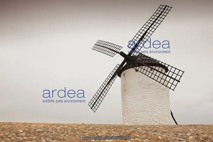 : Spain, Castile-La Mancha Region, Ciudad : Spain, Castile-La Mancha Region, Ciudad
