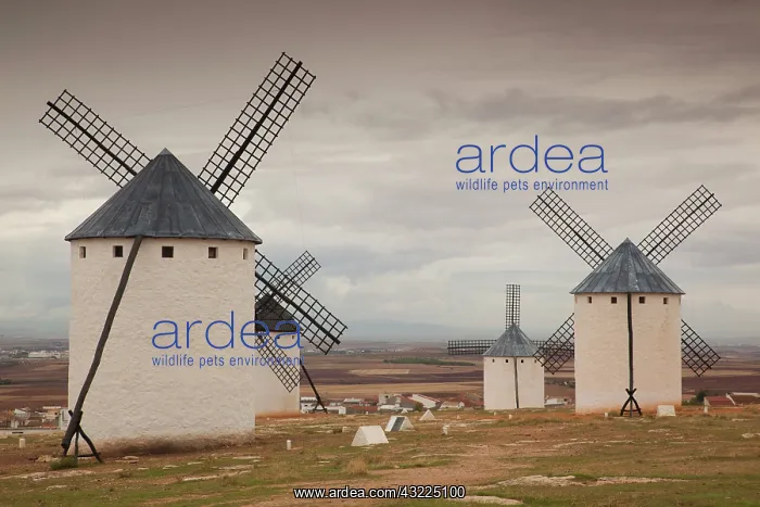 : Spain, Castile-La Mancha Region, Ciudad : Spain, Castile-La Mancha Region, Ciudad