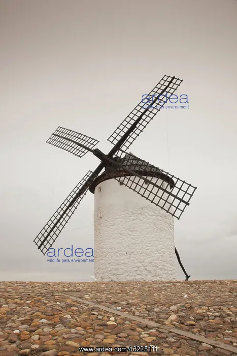 : Spain, Castile-La Mancha Region, Ciudad : Spain, Castile-La Mancha Region, Ciudad