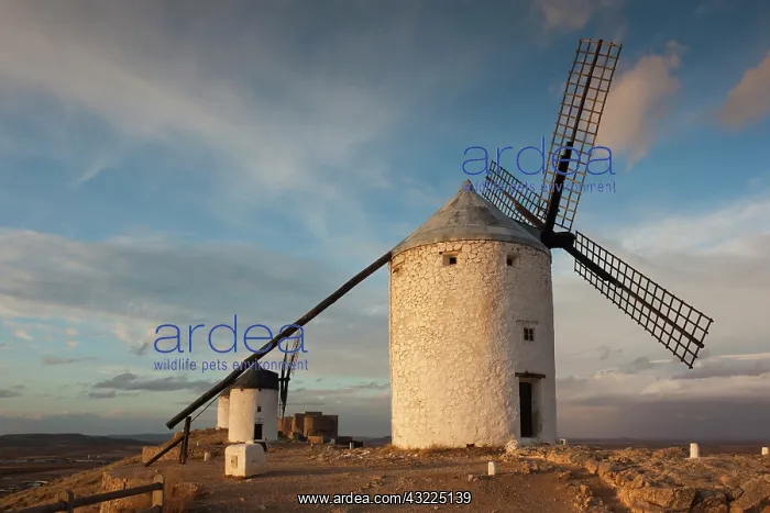 : Spain, Castile-La Mancha Region, Toledo : Spain, Castile-La Mancha Region, Toledo