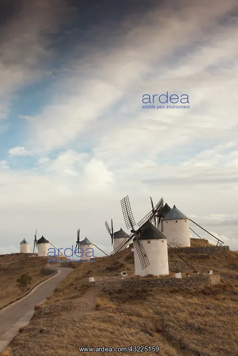: Spain, Castile-La Mancha Region, Toledo : Spain, Castile-La Mancha Region, Toledo