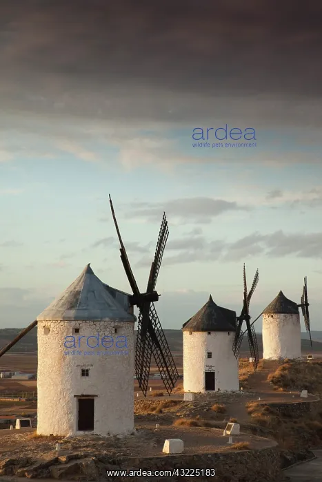 : Spain, Castile-La Mancha Region, Toledo : Spain, Castile-La Mancha Region, Toledo