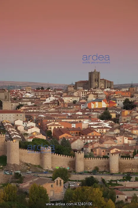 : Spain, Castilla y Leon Region, Avila Province : Spain, Castilla y Leon Region, Avila Province