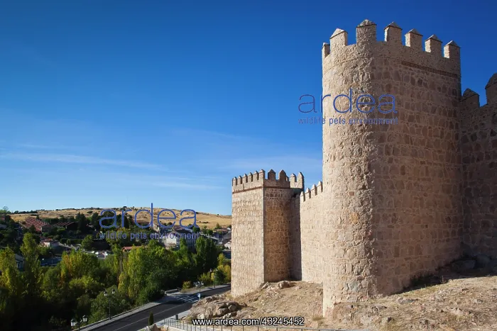: Spain, Castilla y Leon Region, Avila Province : Spain, Castilla y Leon Region, Avila Province