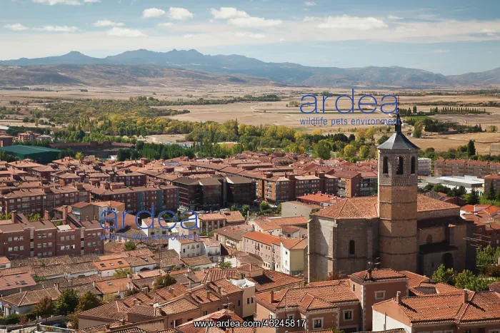 : Spain, Castilla y Leon Region, Avila Province : Spain, Castilla y Leon Region, Avila Province