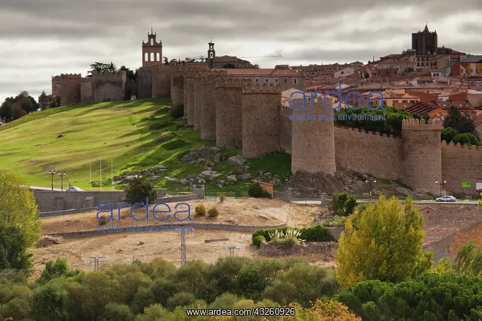: Spain, Castilla y Leon Region, Avila Province : Spain, Castilla y Leon Region, Avila Province