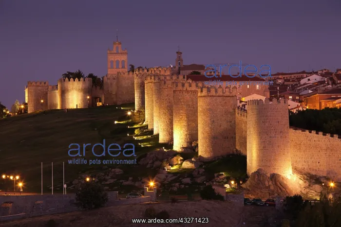 : Spain, Castilla y Leon Region, Avila Province : Spain, Castilla y Leon Region, Avila Province