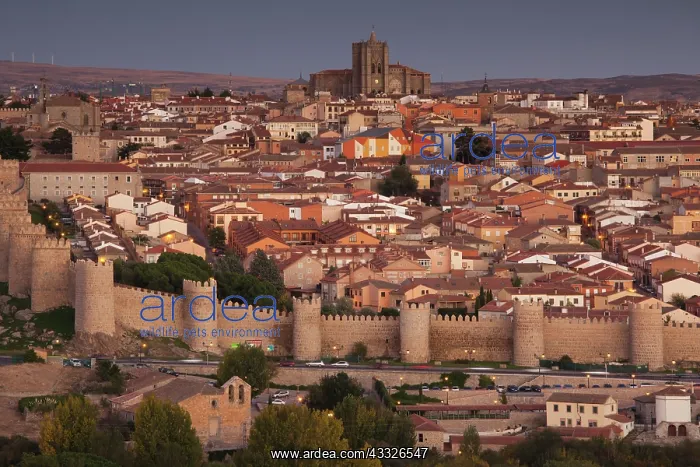 : Spain, Castilla y Leon Region, Avila Province : Spain, Castilla y Leon Region, Avila Province