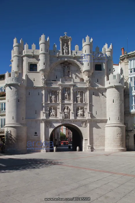 : Spain, Castilla y Leon Region, Burgos Province : Spain, Castilla y Leon Region, Burgos Province