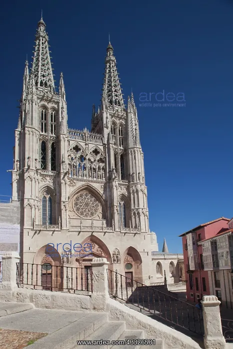 : Spain, Castilla y Leon Region, Burgos Province : Spain, Castilla y Leon Region, Burgos Province