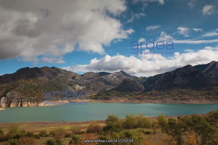  : Spain, Castilla y Leon Region, Leon Province