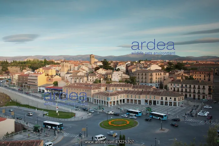 : Spain, Castilla y Leon Region, Segovia Province : Spain, Castilla y Leon Region, Segovia Province
