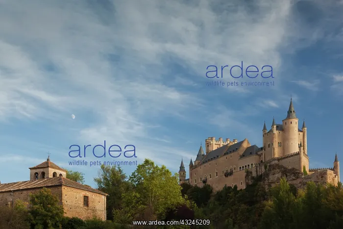 : Spain, Castilla y Leon Region, Segovia Province : Spain, Castilla y Leon Region, Segovia Province