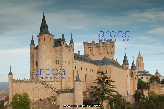 : Spain, Castilla y Leon Region, Segovia Province : Spain, Castilla y Leon Region, Segovia Province