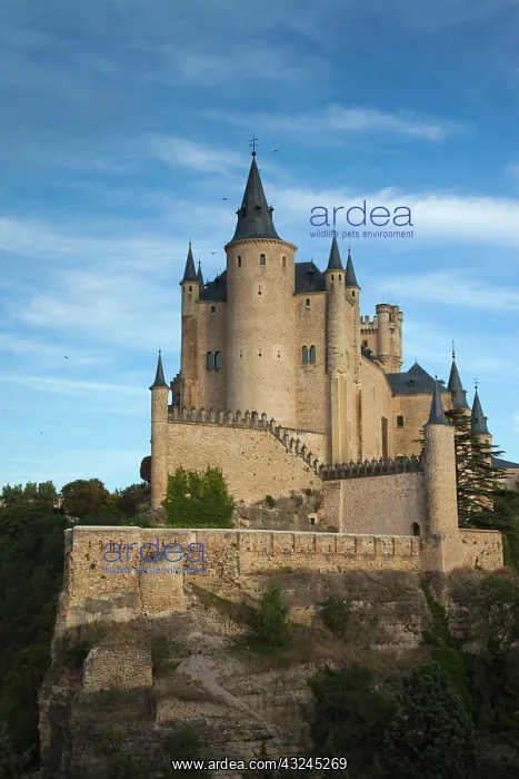: Spain, Castilla y Leon Region, Segovia Province : Spain, Castilla y Leon Region, Segovia Province