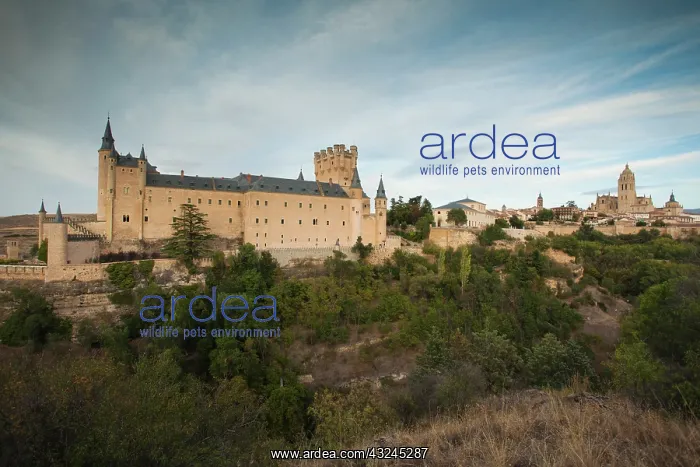: Spain, Castilla y Leon Region, Segovia Province : Spain, Castilla y Leon Region, Segovia Province
