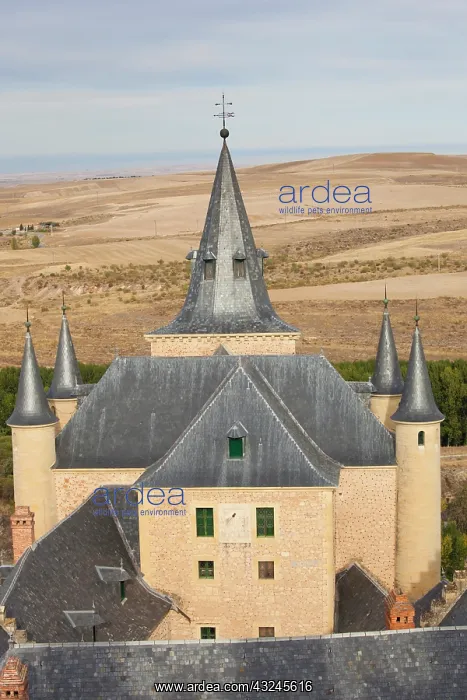 : Spain, Castilla y Leon Region, Segovia Province : Spain, Castilla y Leon Region, Segovia Province