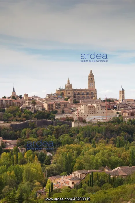: Spain, Castilla y Leon Region, Segovia Province : Spain, Castilla y Leon Region, Segovia Province