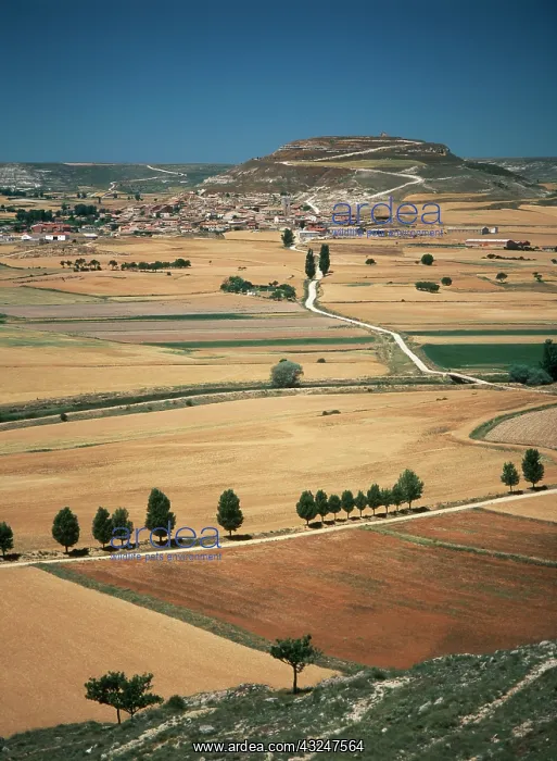 : Spain, Castrojeriz, Castilla (Large format : Spain, Castrojeriz, Castilla (Large format