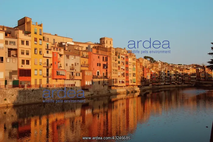 : Spain. Catalonia. Gerona. Houses on the : Spain. Catalonia. Gerona. Houses on the