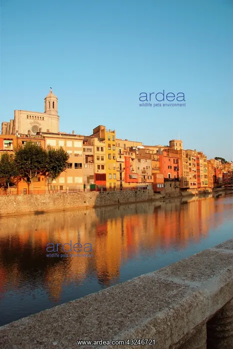 : Spain. Catalonia. Gerona. Houses on the : Spain. Catalonia. Gerona. Houses on the
