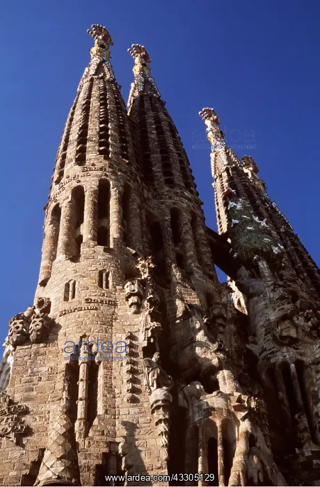 : SPAIN - Cathedral designed by Gaudi, Sagrada familia : SPAIN - Cathedral designed by Gaudi, Sagrada familia