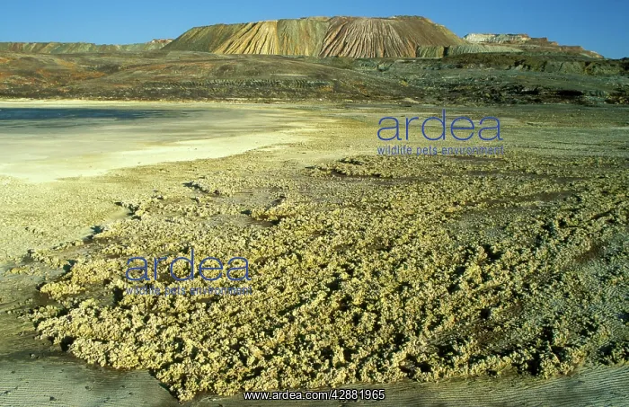 : Spain - Dramatic landscape of mineral-rich ground : Spain - Dramatic landscape of mineral-rich ground