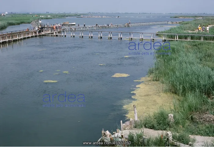 : SPAIN - EBRO DELTA : SPAIN - EBRO DELTA