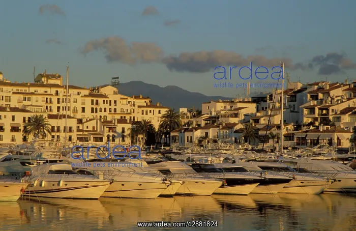 : Spain - The exclusive yacht harbour of Puerto Banus : Spain - The exclusive yacht harbour of Puerto Banus