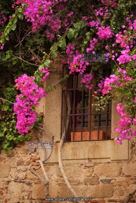  : Spain, Extremadura Region, Caceres Province