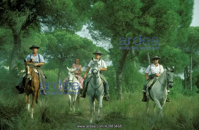 : Spain - During a famous Pentecost pilgrimage some : Spain - During a famous Pentecost pilgrimage some