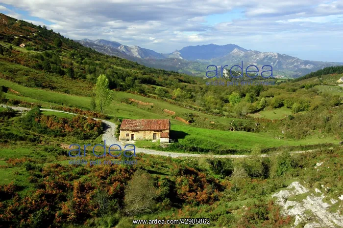 : Spain - Farm Shed : Spain - Farm Shed