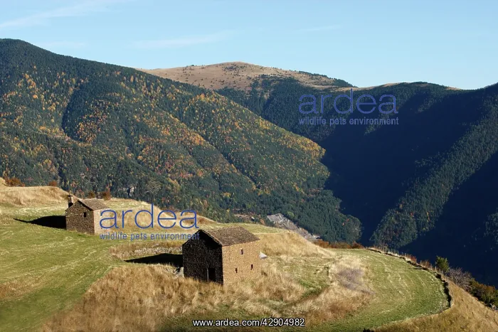  : Spain - Farming in Ordesa Valley