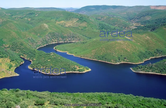  : Spain - green hills after winter of good rainfall