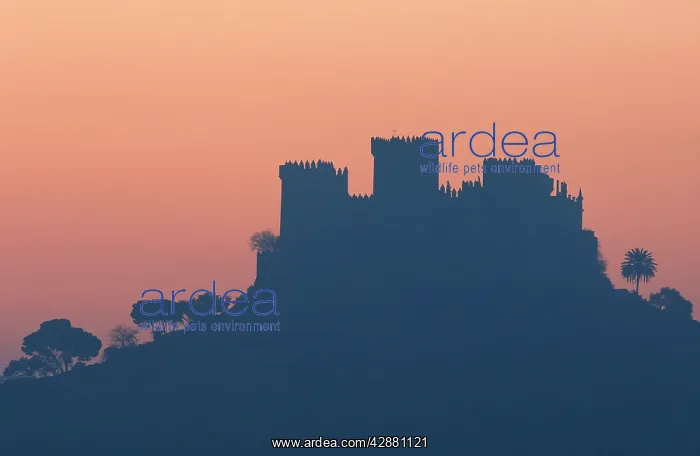 : Spain - The impressive eighth-century castle of : Spain - The impressive eighth-century castle of