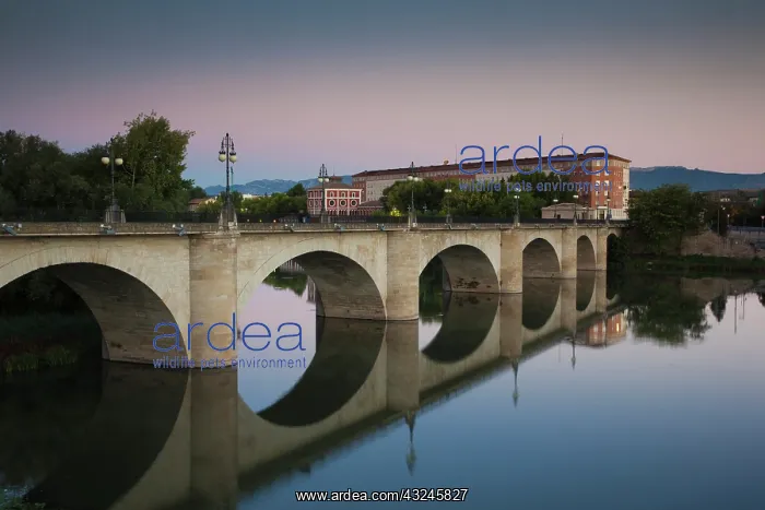 : Spain, La Rioja Region, La Rioja Province : Spain, La Rioja Region, La Rioja Province