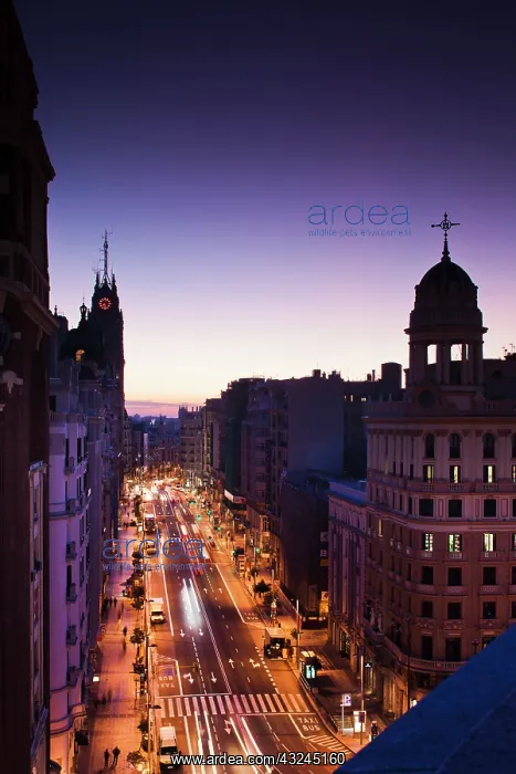 : Spain, Madrid, Centro Area, elevated view : Spain, Madrid, Centro Area, elevated view